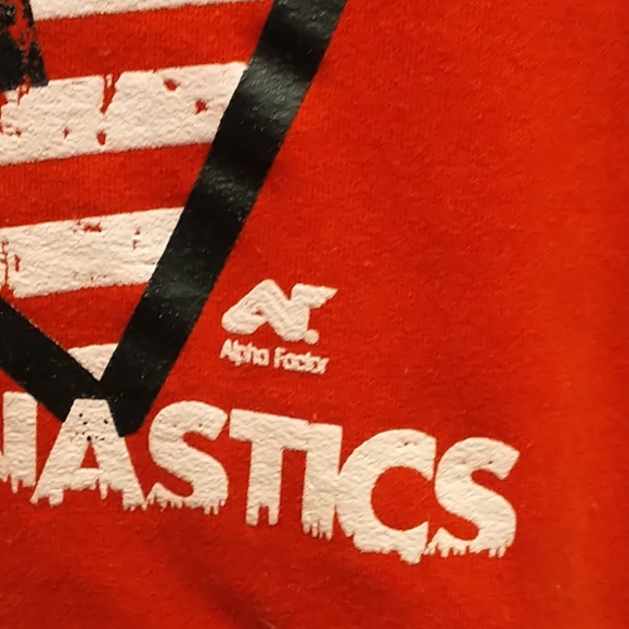 Alpha Factor Gymnastics Hoodie- CS - Picture 3 of 6